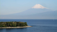 大瀬崎と富士山の展望地のサムネイル