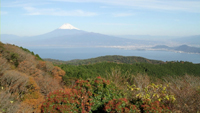 だるま山高原と富士山のサムネイル