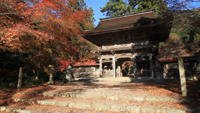 大矢田神社のサムネイル